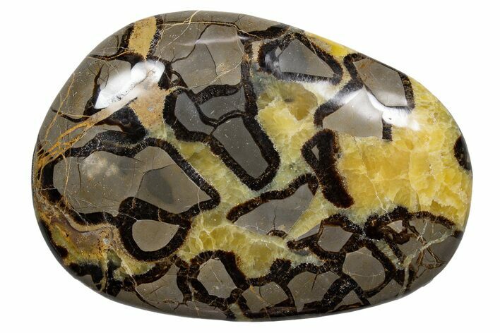Gorgeous, Polished Septarian Stone - Madagascar #341872